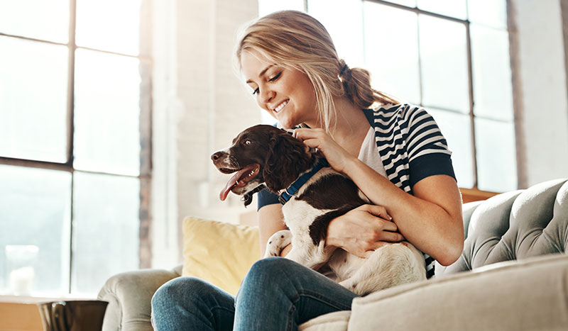 Louisiana Hotel Pet Friendly